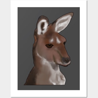 Kangaroo, head shot Posters and Art